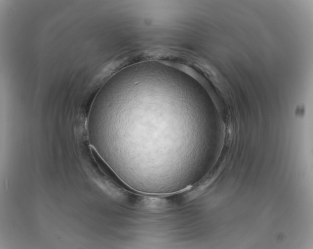 X0000091460429200709061800