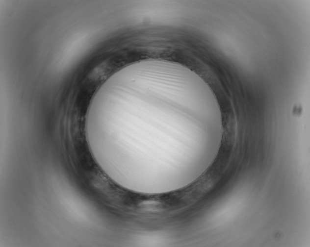X0000091460430200709061800