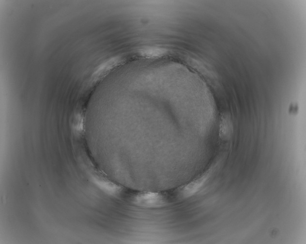 X0000091460431200709061800