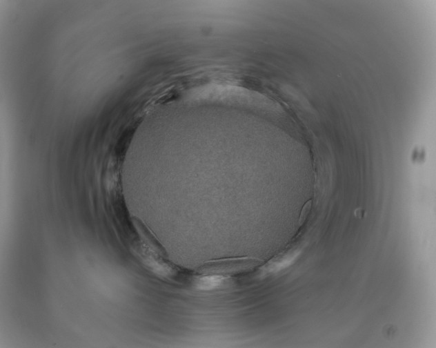 X0000091460432200709061800