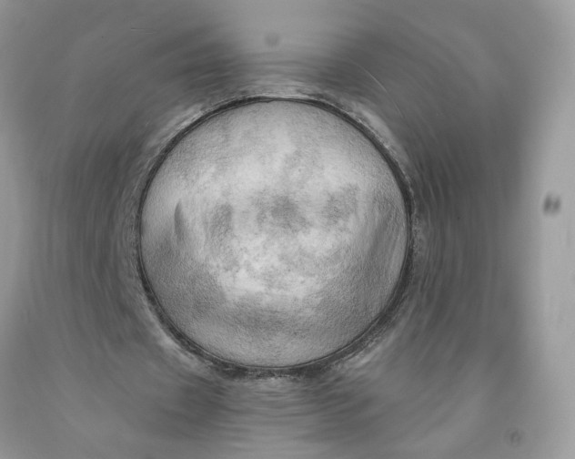 X0000091460433200709061800