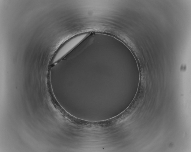 X0000091460434200709061800