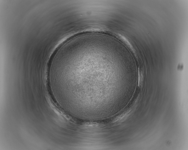 X0000091460435200709061800