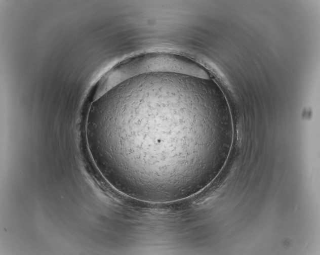 X0000091460436200709061800