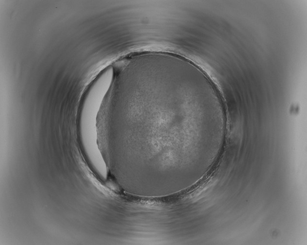 X0000091460437200709061800
