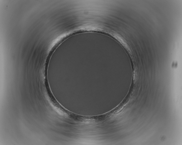 X0000091460438200709061800