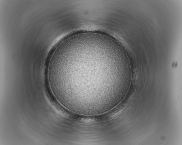 X0000091460440200709061800