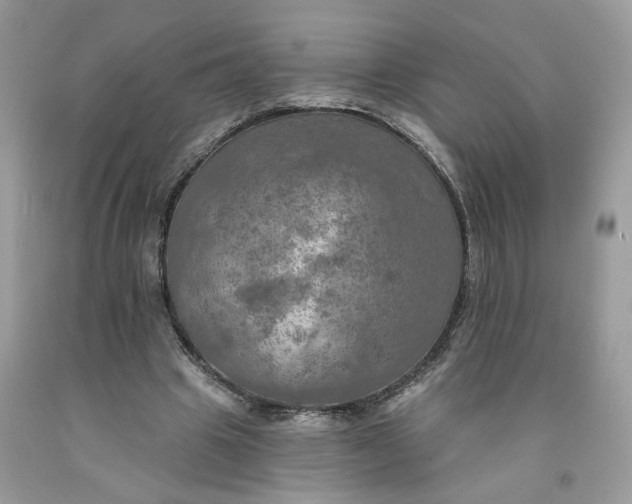X0000091460441200709061800