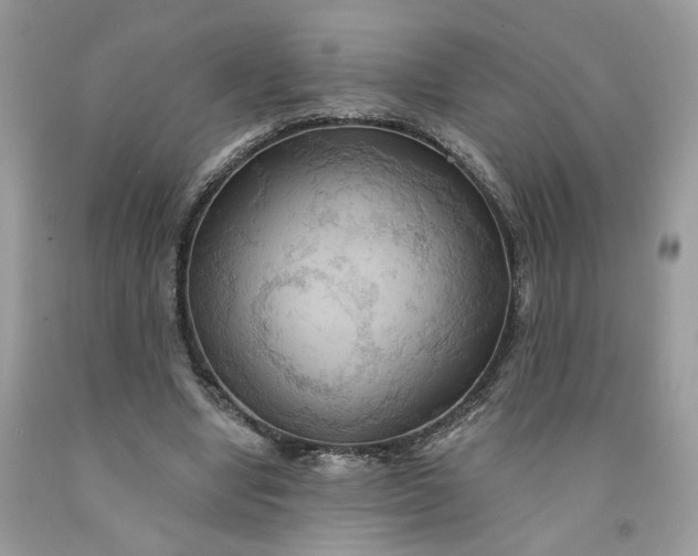 X0000091460442200709061800
