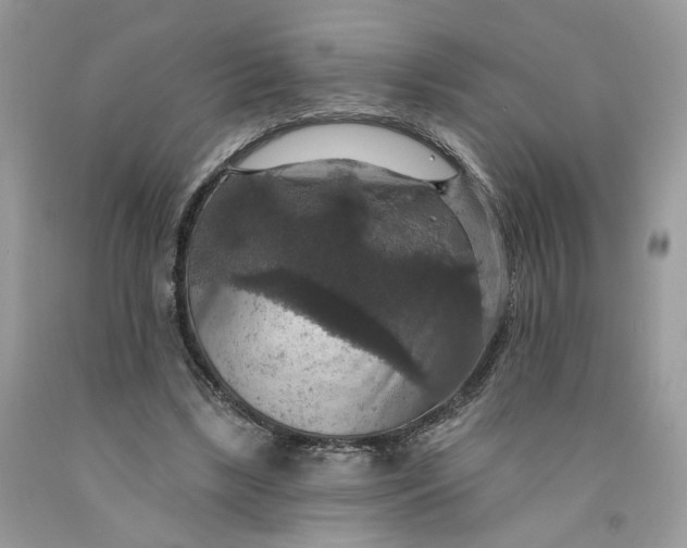 X0000091460443200709061800