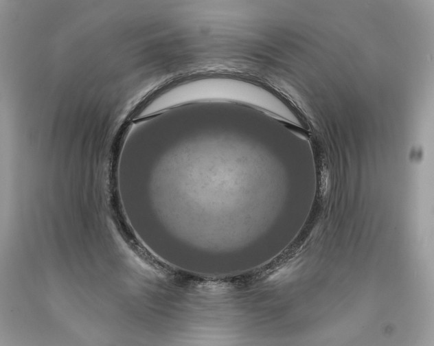 X0000091460444200709061800