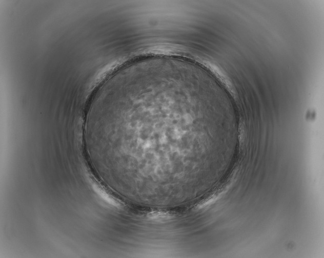 X0000091460445200709061800