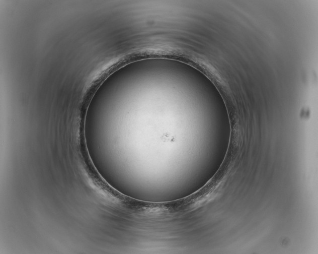 X0000091460446200709061800
