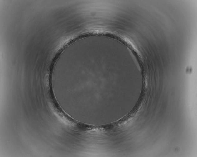 X0000091460447200709061800