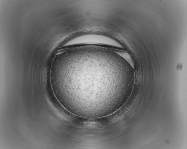 X0000091460448200709061800