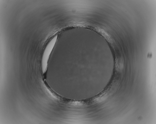 X0000091460449200709061800
