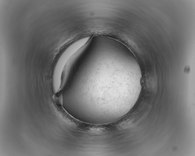 X0000091460450200709061800