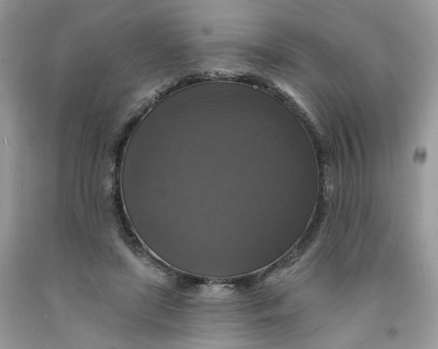 X0000091460451200709061800