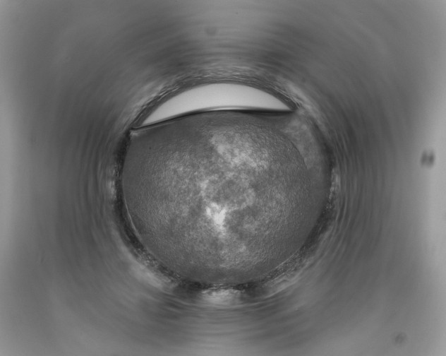 X0000091460452200709061800