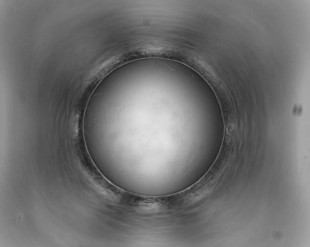 X0000091460454200709061800