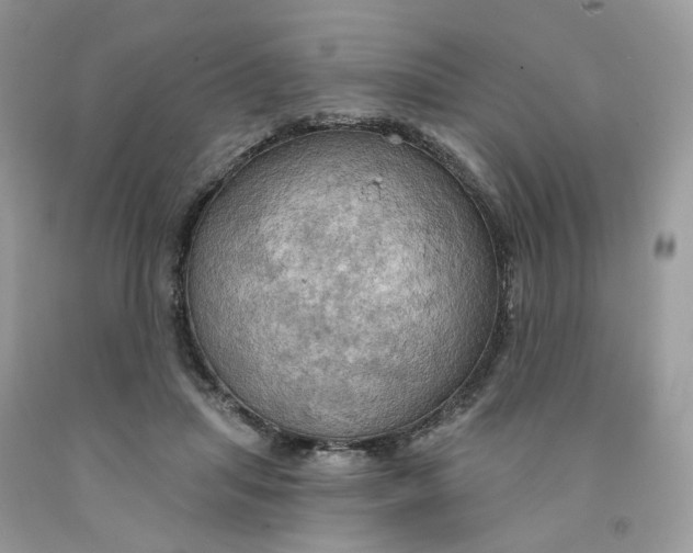 X0000091460455200709061800