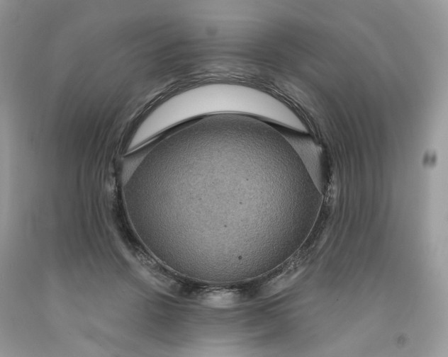 X0000091460456200709061800