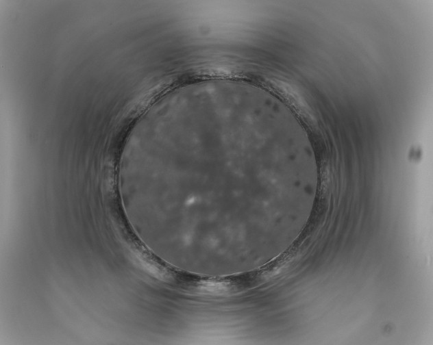 X0000091460457200709061800