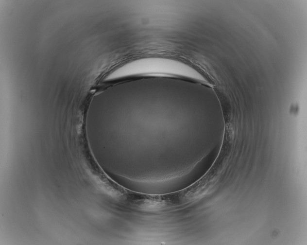 X0000091460458200709061800