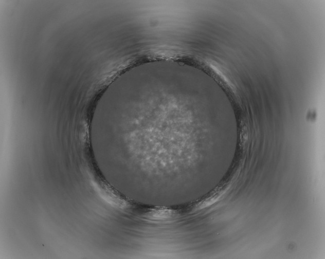 X0000091460459200709061800
