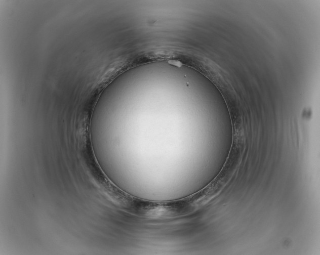 X0000091460460200709061800