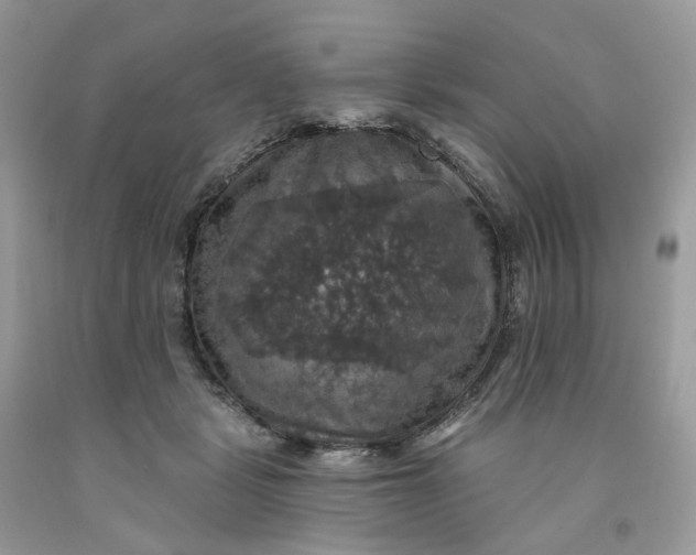 X0000091460461200709061800