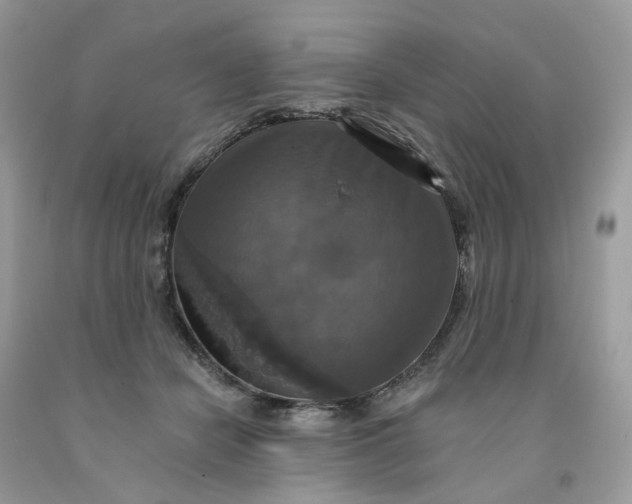 X0000091460462200709061800