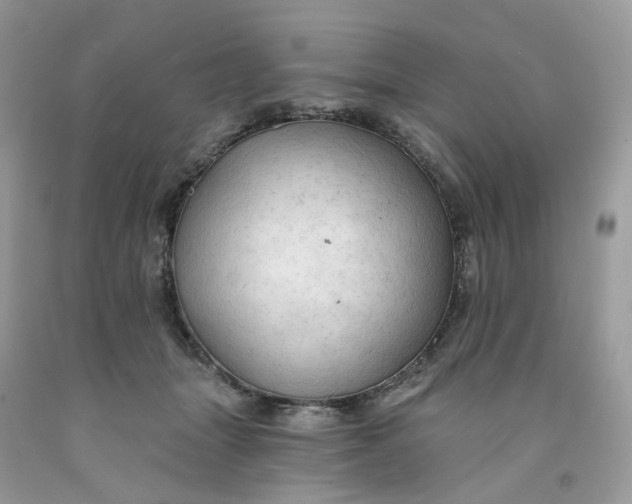 X0000091460463200709061800