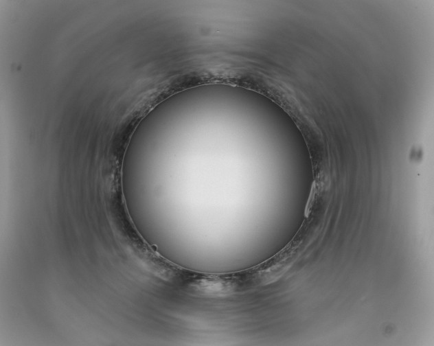 X0000091460464200709061800