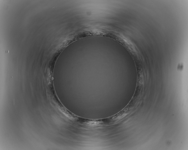 X0000091460465200709061800