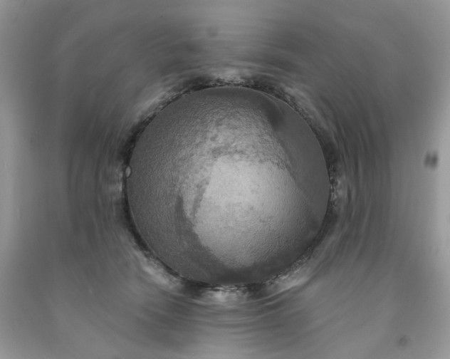 X0000091460466200709061800