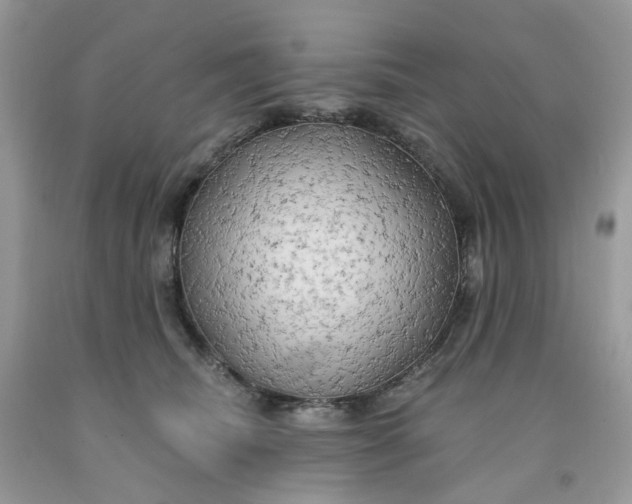 X0000091460468200709061800
