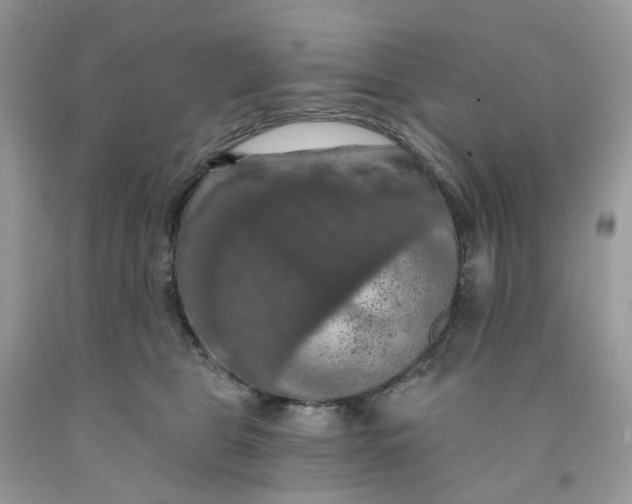X0000091460469200709061800