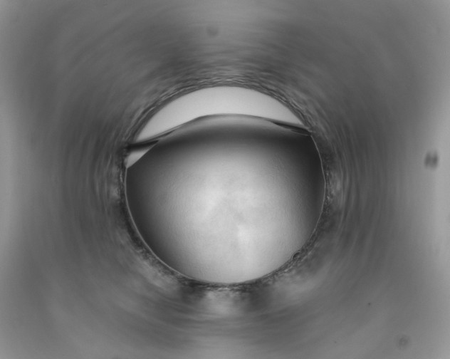 X0000091460470200709061800