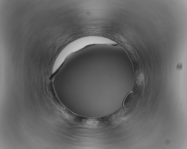 X0000091460471200709061800