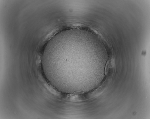 X0000091460472200709061800