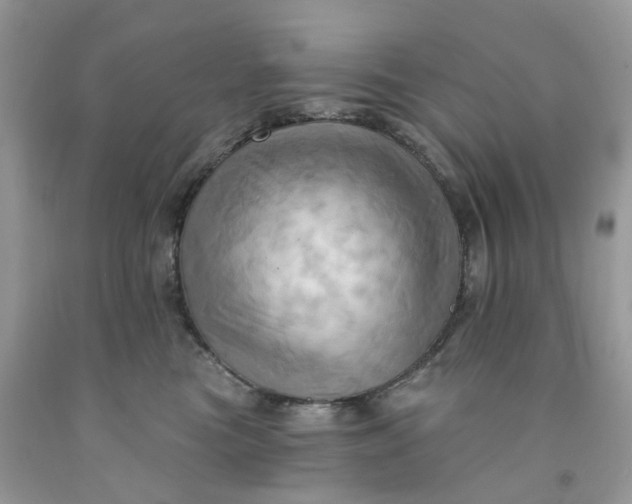X0000091460473200709061800