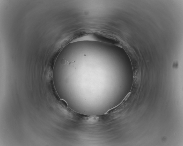 X0000091460474200709061800