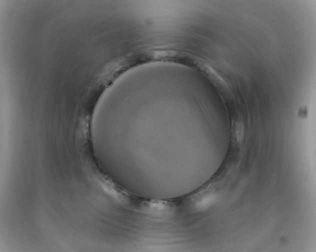 X0000091460475200709061800
