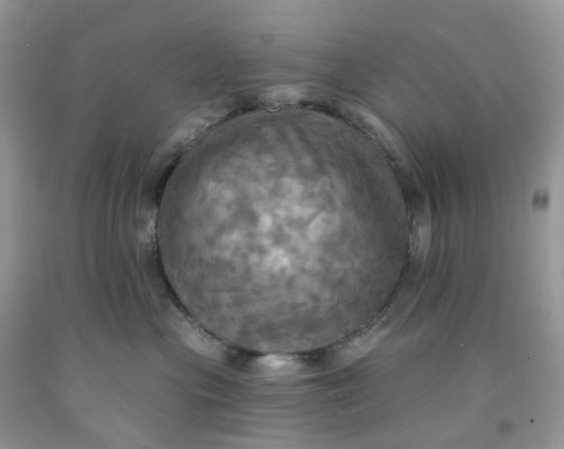 X0000091460477200709061800