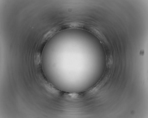 X0000091460478200709061800