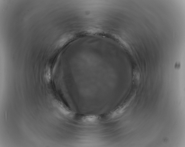 X0000091460479200709061800