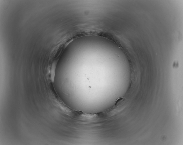 X0000091460480200709061800
