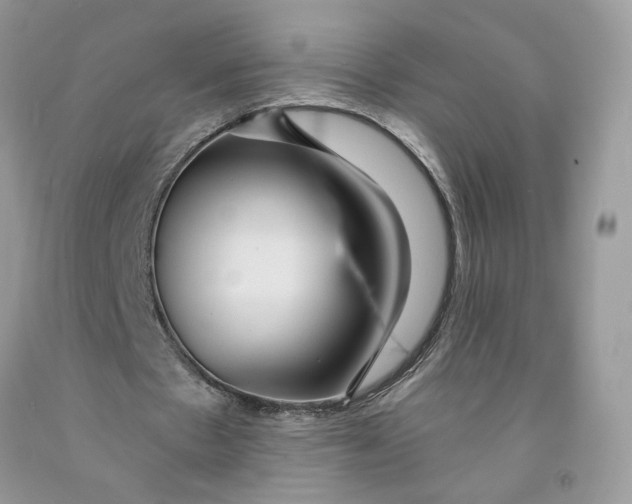 X0000091460481200709061800