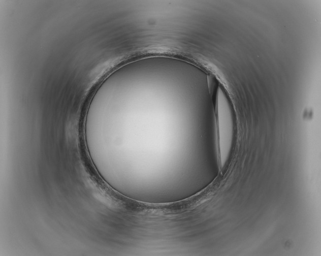 X0000091460482200709061800